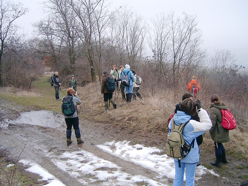 20100220 086.jpg